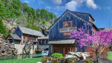 är dogwoods infödda inom missouri